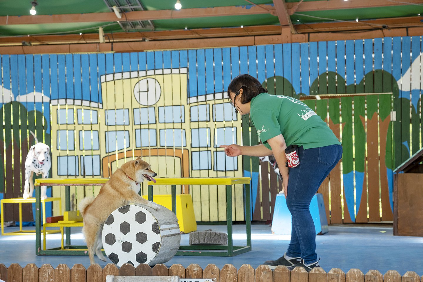 🐅 시로토리 동물원 이미지 11